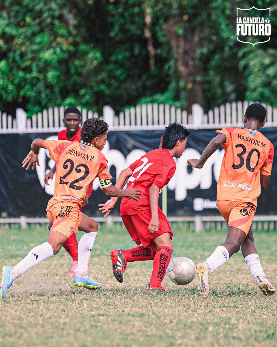 Categorías de Formación América de Cali tweet media