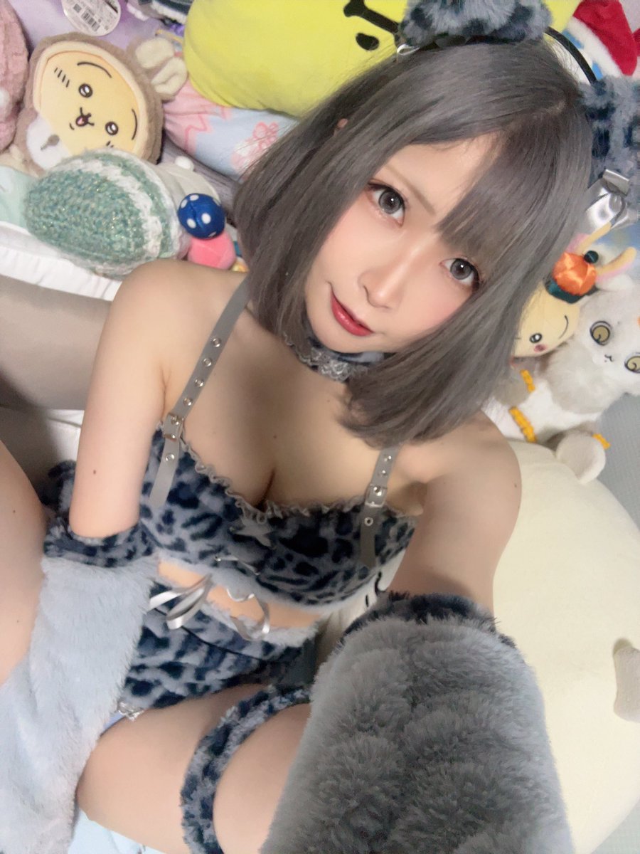 猫宮えれこ🐈🐈⬛🐾 tweet media