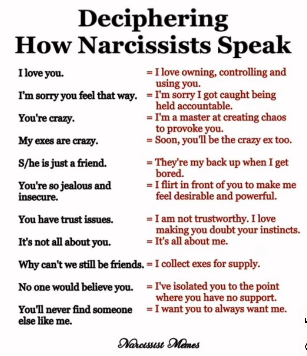 The Narcissist Box tweet media
