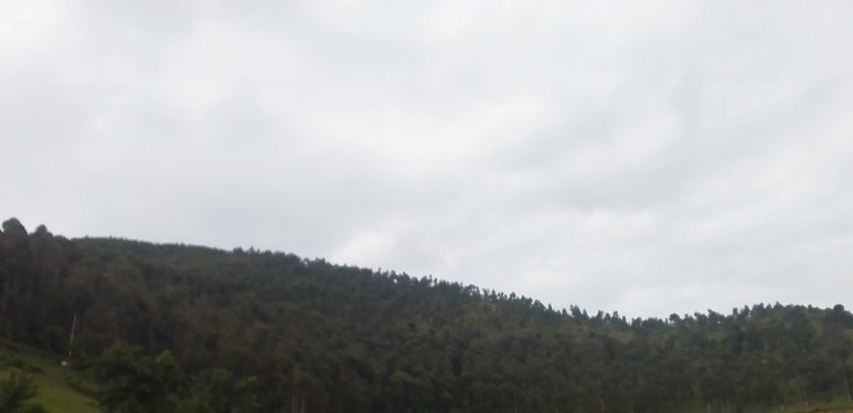 SamKabera's tweet image. #DRONES
Ifoto yafashwe na drones igaragarako muri Pariki ya Gishwati hari abantu bishyiriyemo inzuri,...
Aho ni muri Kanzenze ya @RubavuDistrict .

Iyo binkundira nari bubaze Gitifu cyangwa Meya icyo bisaba kugirango umuntu yemererwe urwuri muri Pariki,ubundi nkanyura kwa