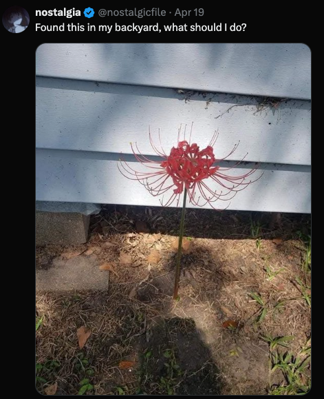 頼むぜエディタ tweet media