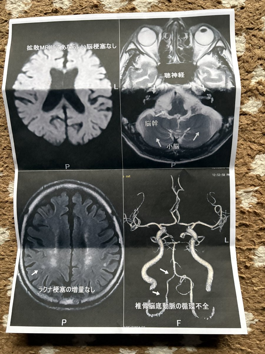 hottashinzo tweet media