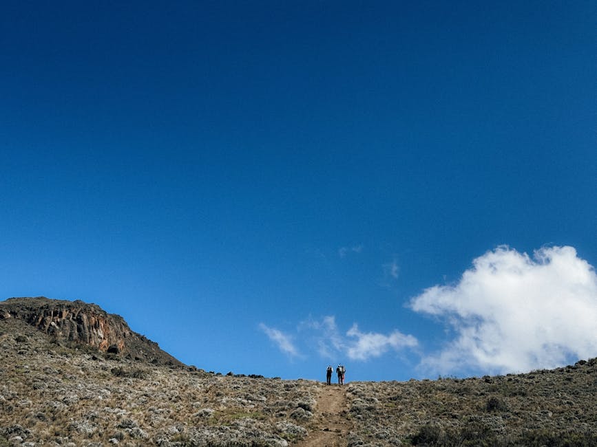 Jason Snyder tweet media