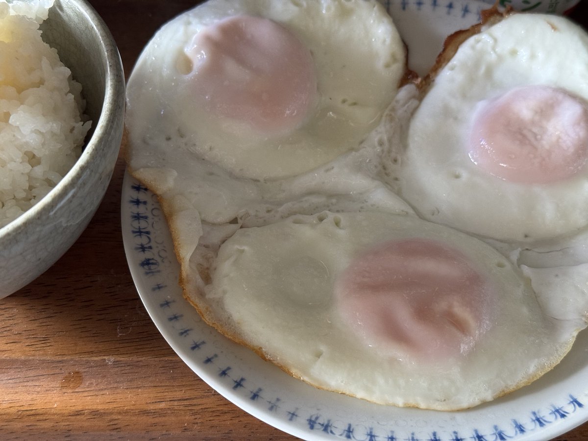 目玉焼き好き たまご好きさんへ贈る 目玉焼きコースター その他キッチン小物 &M74