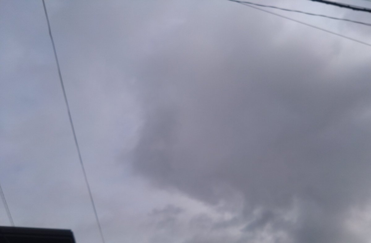 🪈🐻‍❄うみうみん🐻🦀📖🍛🍍🍴 tweet media