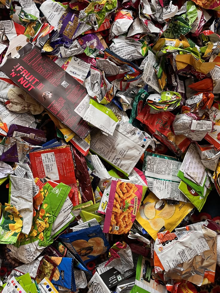 Koko Pup かわいくて強い💙 tweet media