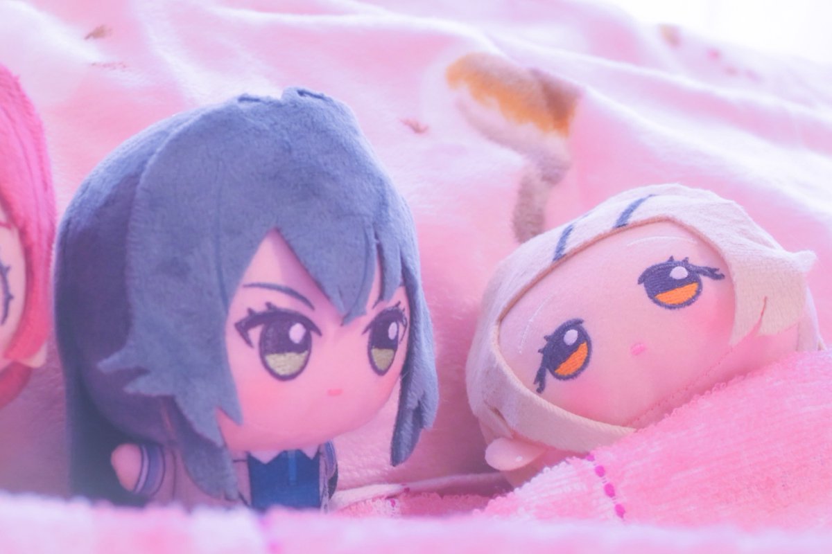 大葉しそ(ぬい活) tweet media