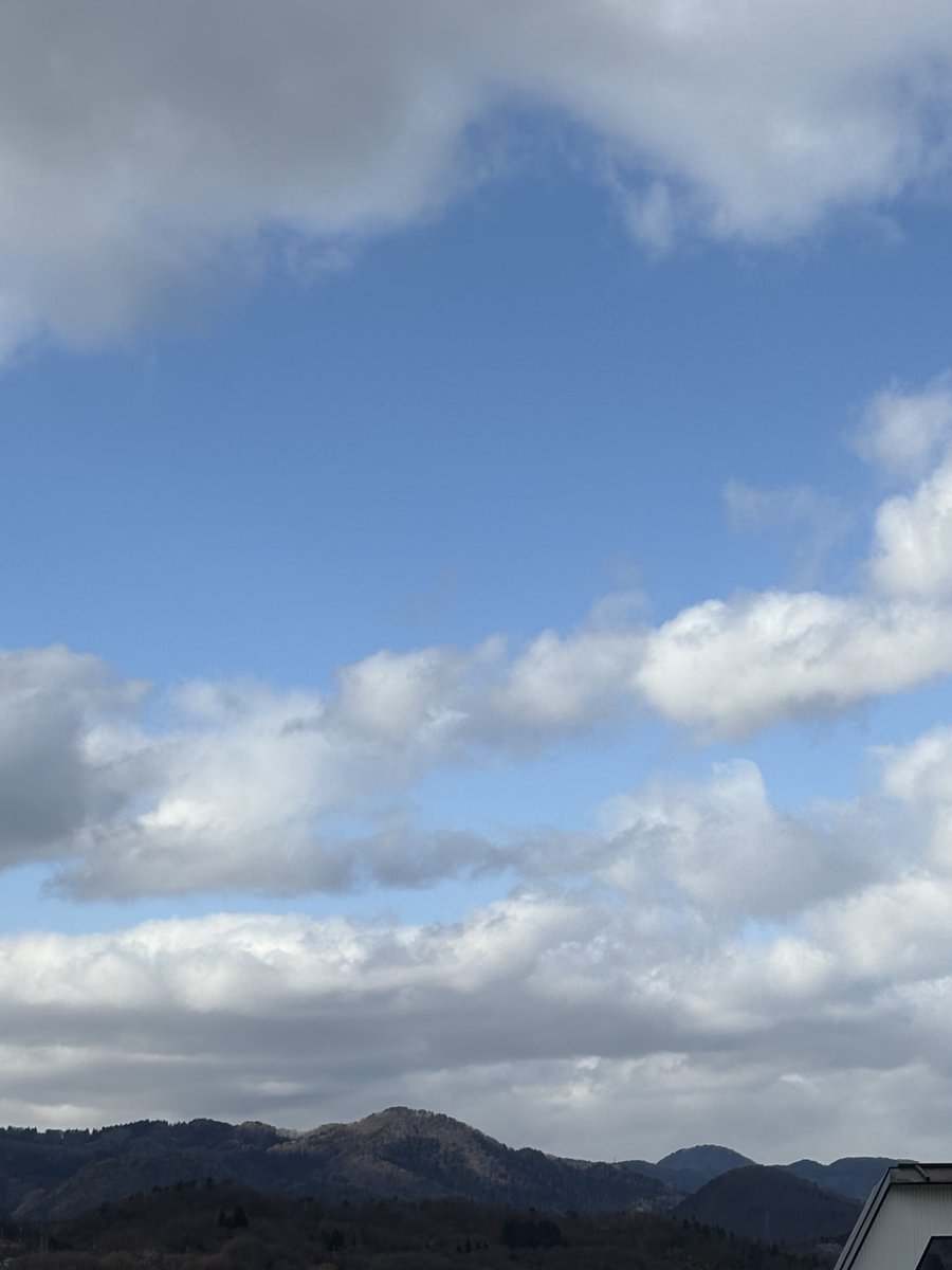 ミナト tweet media