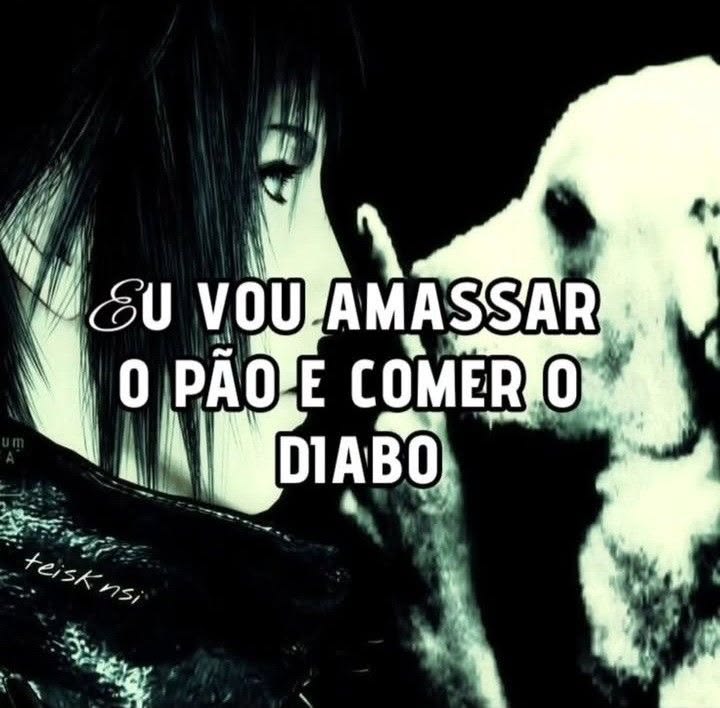 perfil dedicado a gatinhos e peitos tweet media