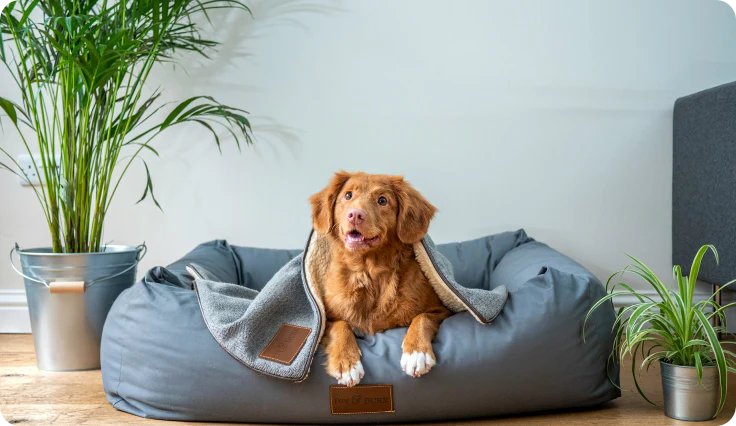 TheNewsletter05's tweet photo. Natural food for your beloved pet,spin the wheel for even more discounts! https://t.co/8kYNuMKakC @zealpetfood https://t.co/33HGnL2Fdk