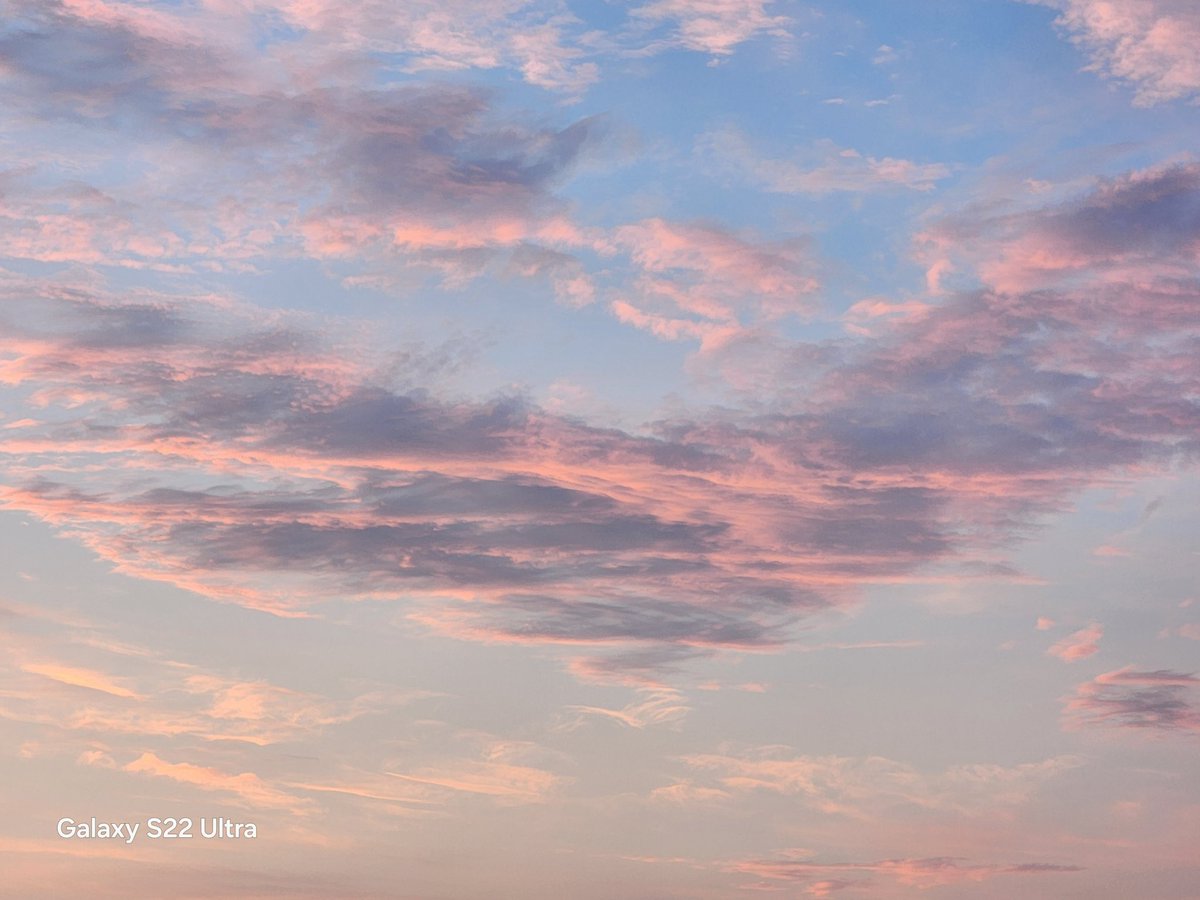 faye 🐚 tweet media