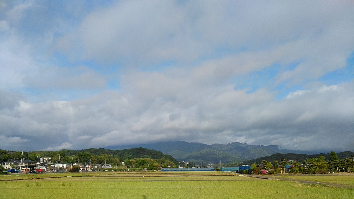 JP1MFB/かながわXT51 tweet media