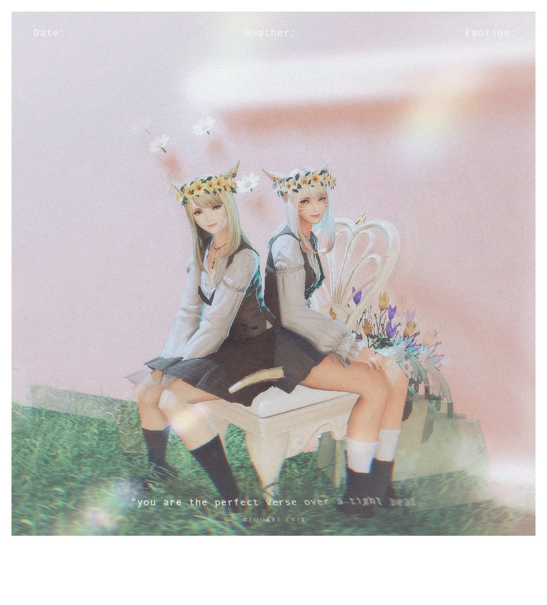 𝙲𝚑𝚎𝚕𝚜𝚎𝚊 tweet media