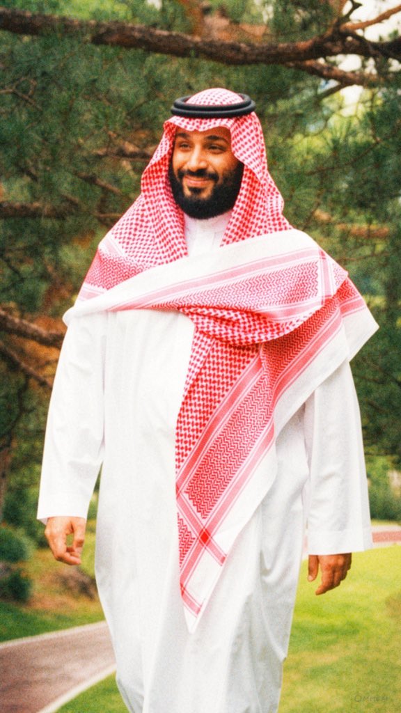 🪻🇸🇦 tweet media