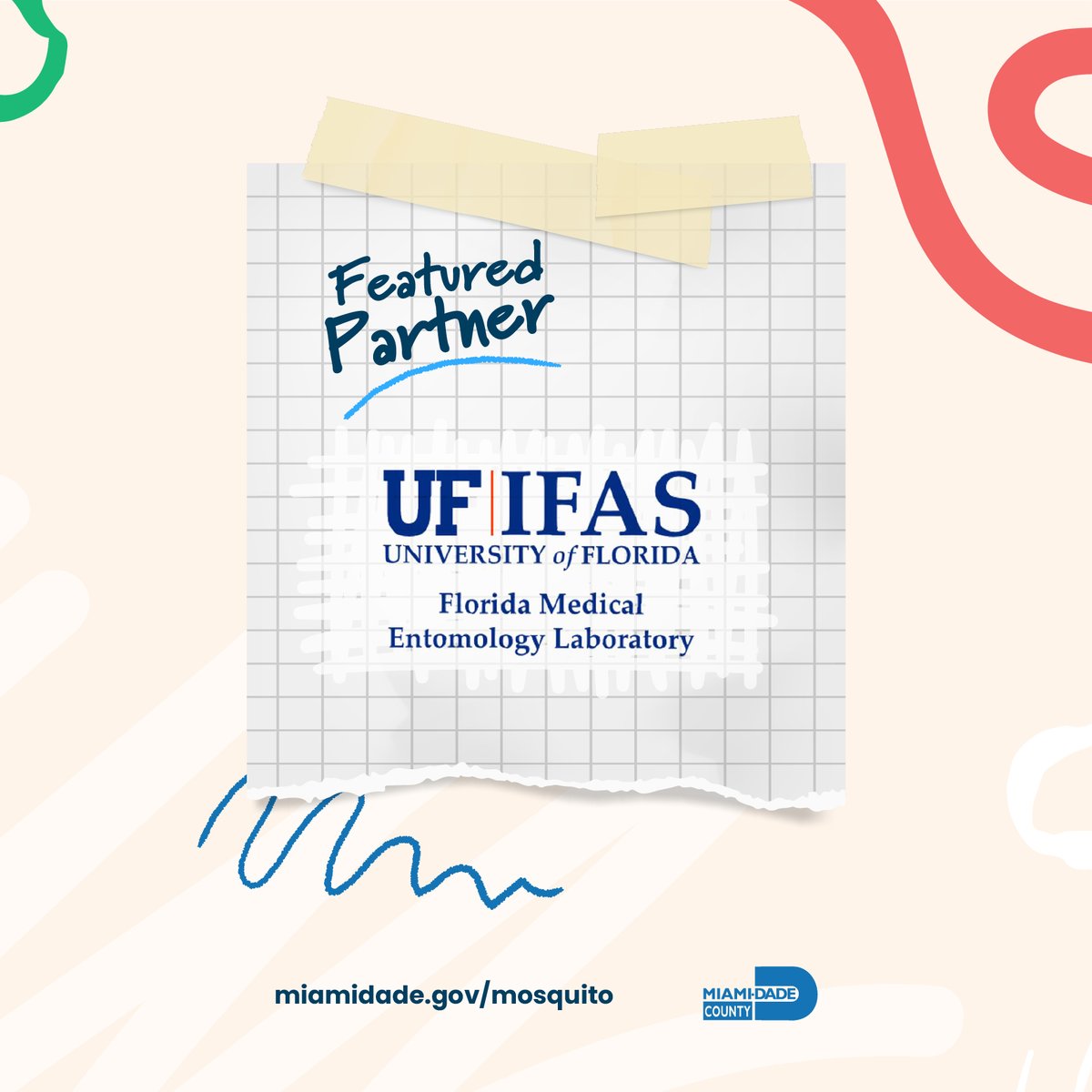 305Mosquito's tweet image. This year's #FLMosquitoWeek featured partner is @UF_IFAS, the @UFlorida's Institute of Food &amp;amp; Agricultural Sciences. They are an invaluable teaching, research, &amp;amp; training collaborator who enhance everything #mosquito-related we do in #OurCounty. ifas.ufl.edu 🦟 ❤️ 🙏🏼