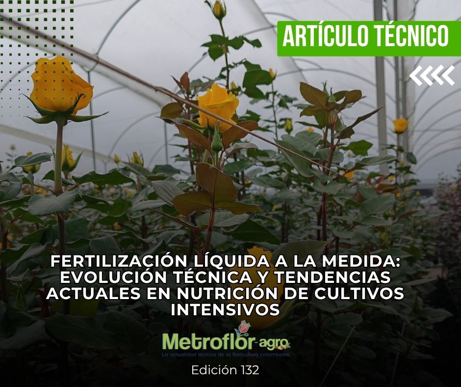Revista Metroflor-agro tweet media
