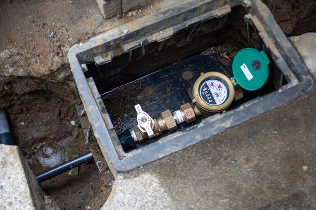 ライブドアニュース tweet media