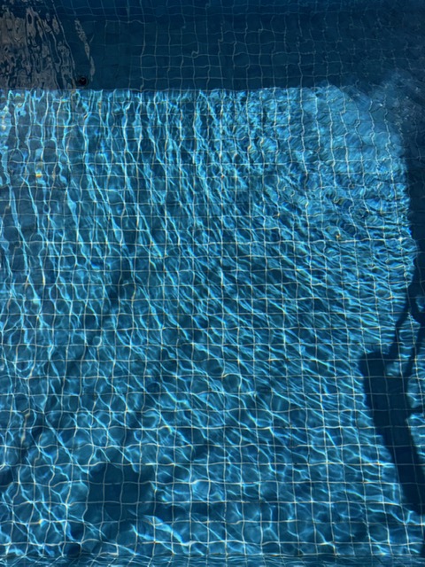 さぷらす tweet media