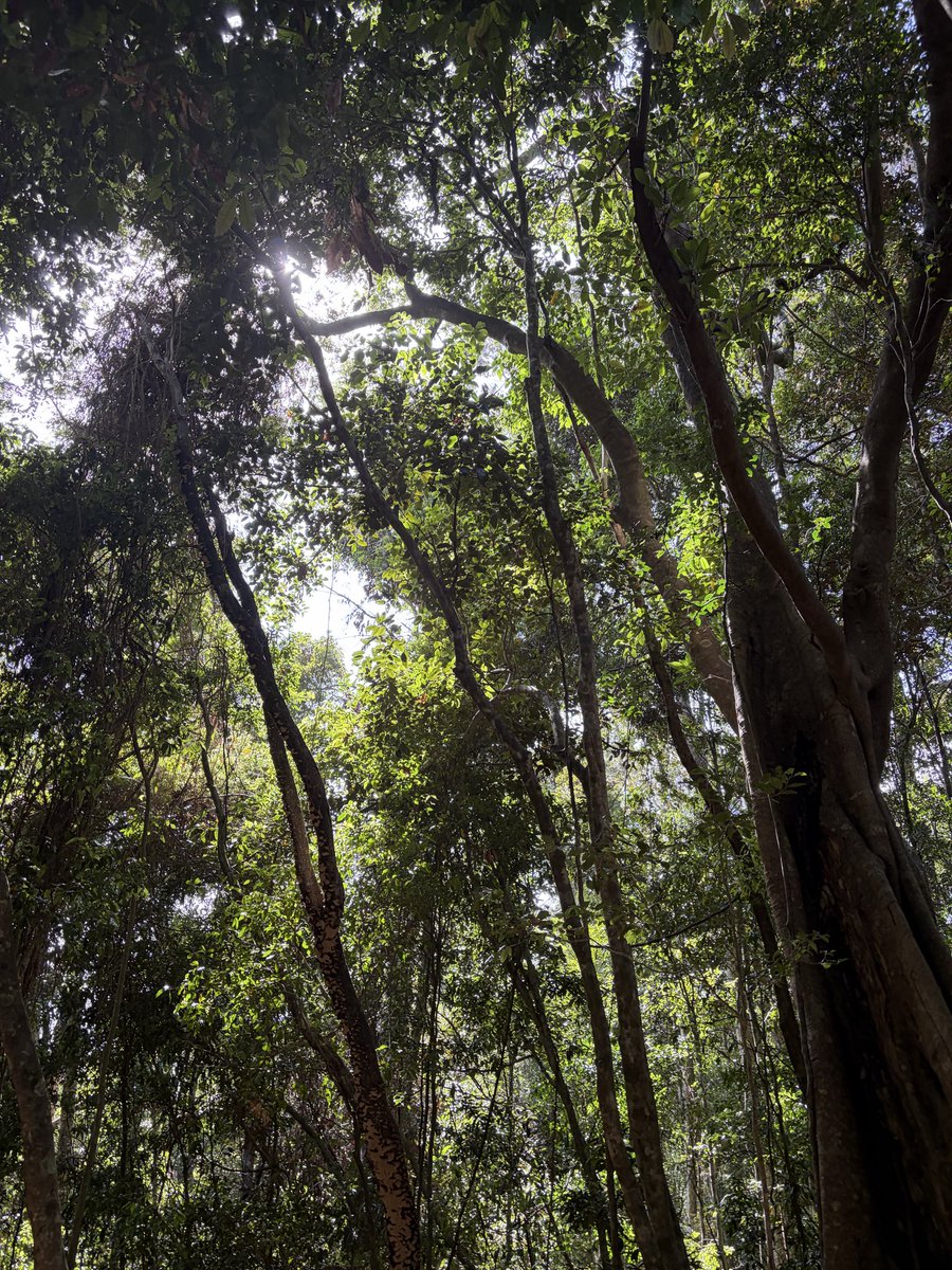 Kylie Riordan tweet media