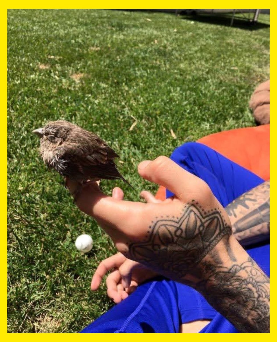 KStomska's tweet image. 10 yrs ago today Zayn posted this photo on FB 💛
#ZaynMalik #Throwback #Memories