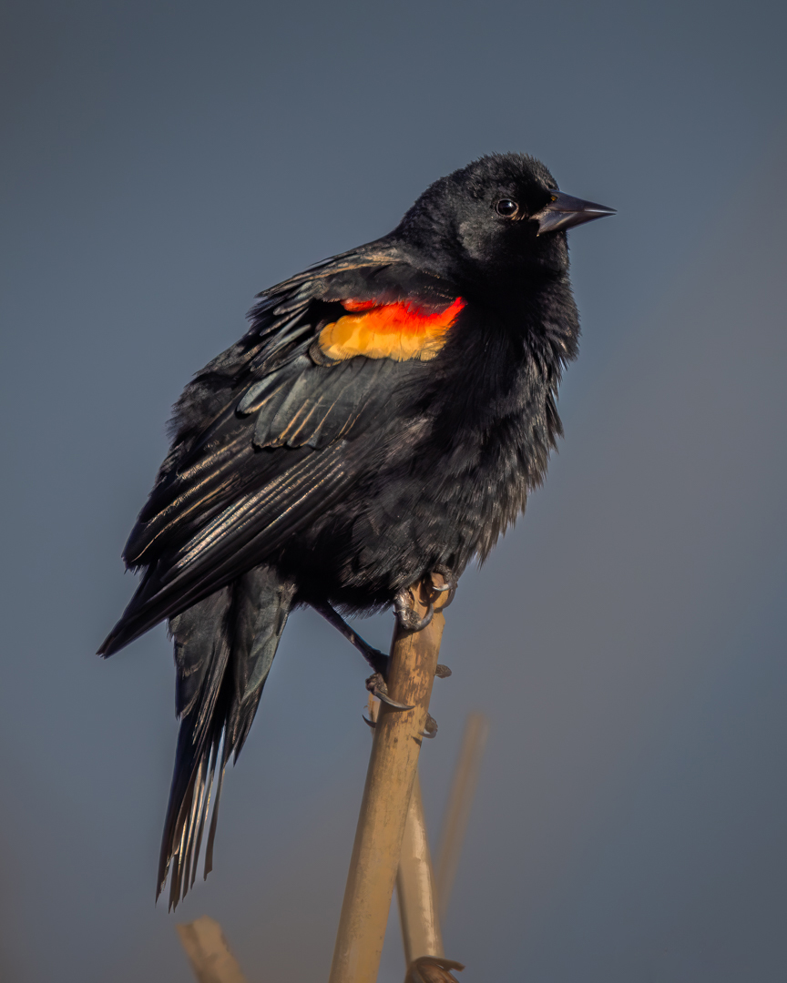 Tina Quillen Photography tweet media