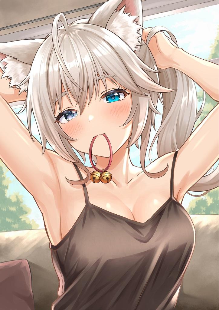 しっぽ🐾Shippo@獣医vtuber tweet media