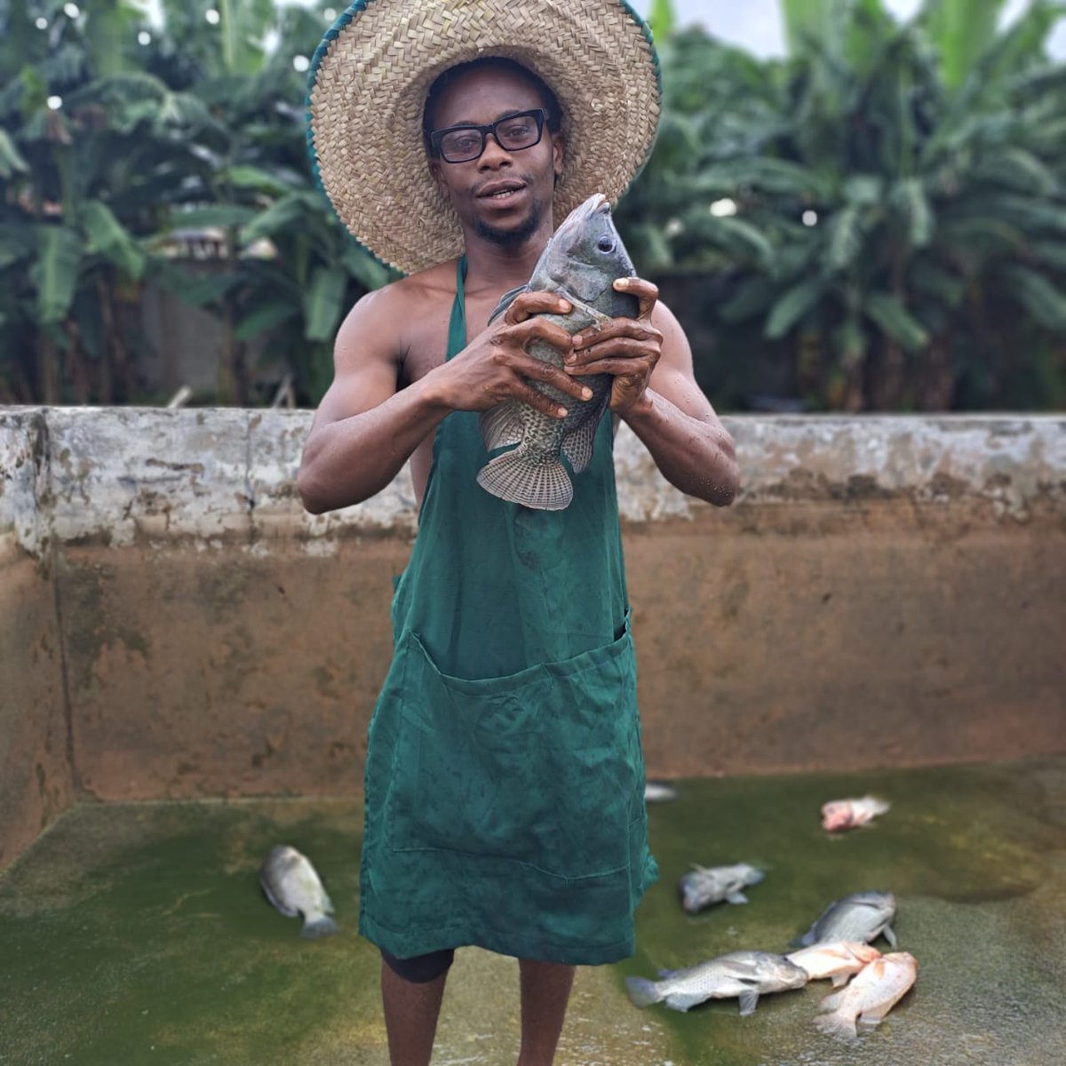 First Nigerian to raise fish and sold for over a 150k without spending up to 25k