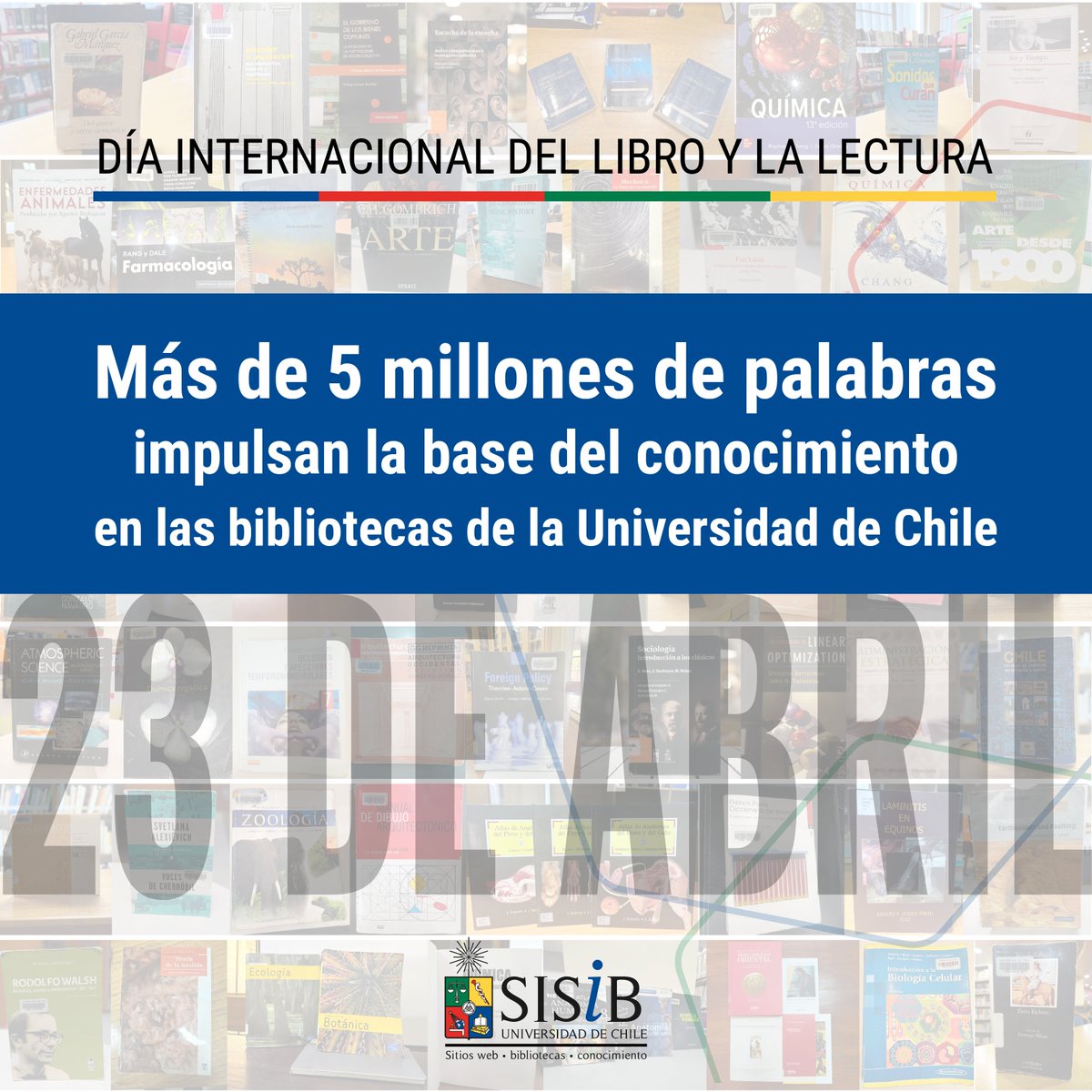 sisibuchile's tweet photo. ¿Qué libros marcan la pauta en la @uchile?🔍📖
En este #DíaDelLibro, destacamos los textos impresos más consultados en nuestra red de bibliotecas. Desde clásicos hasta investigación de vanguardia, el conocimiento circula en nuestras estanterías.
➡️https://t.co/6lVf7Bjx5P
#SISIB https://t.co/tfV73cfJp0