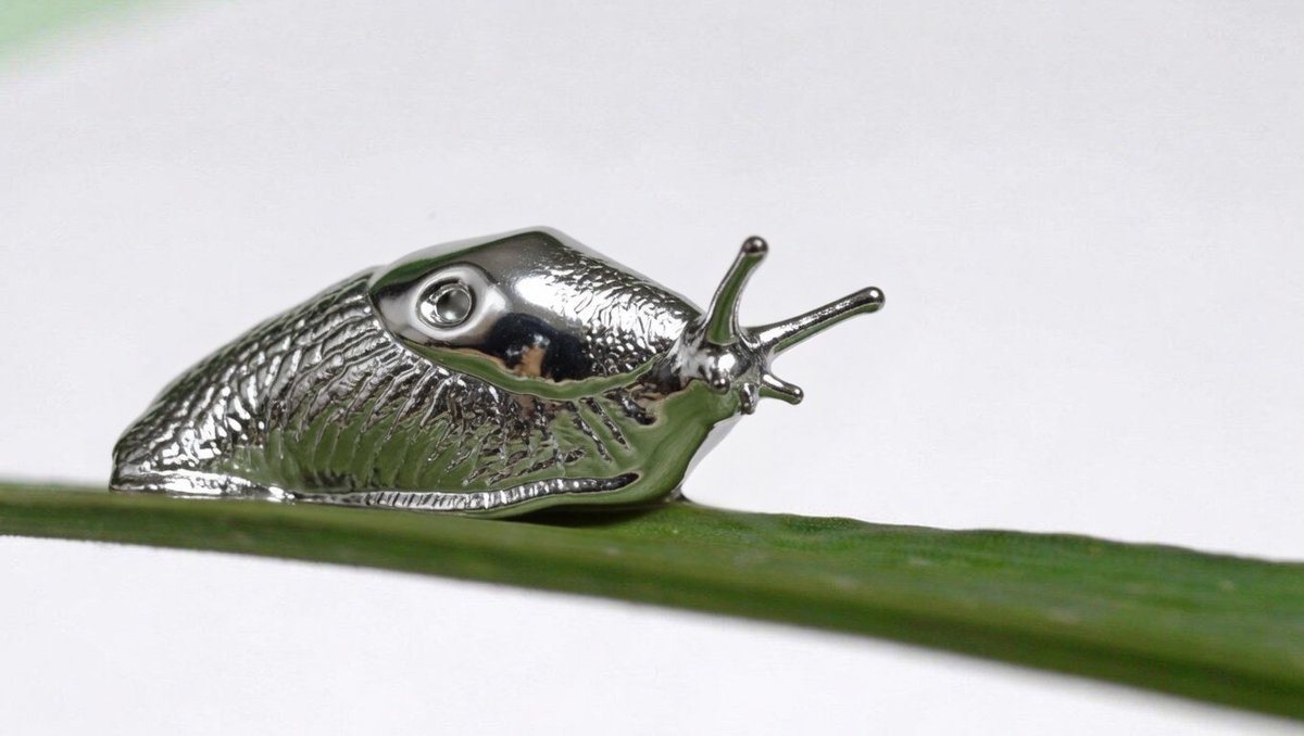 Excidian tweet media