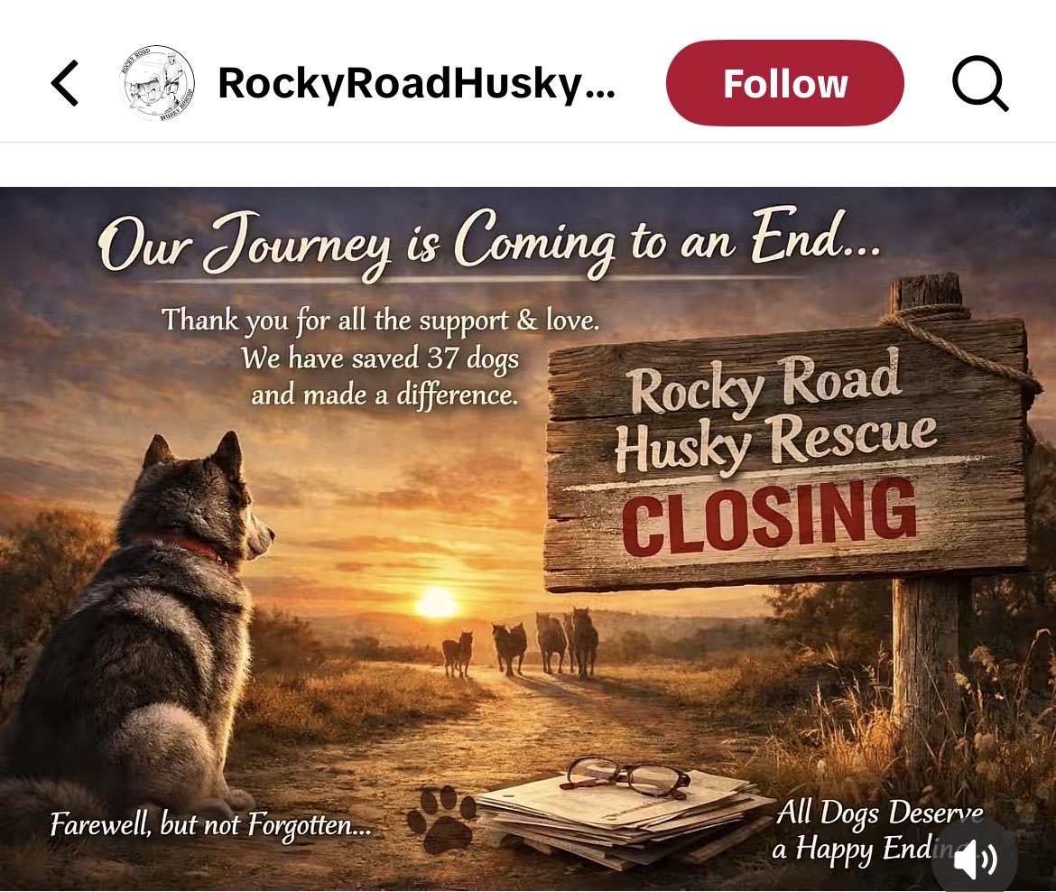 micortazonzz1's tweet image. Lack of donations and volunteers has forced this Husky rescue to close its doors. #USA #donation #people