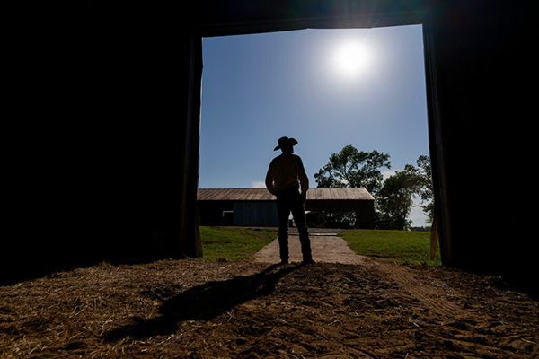 Texas A&M AgriLife Extension Service tweet media