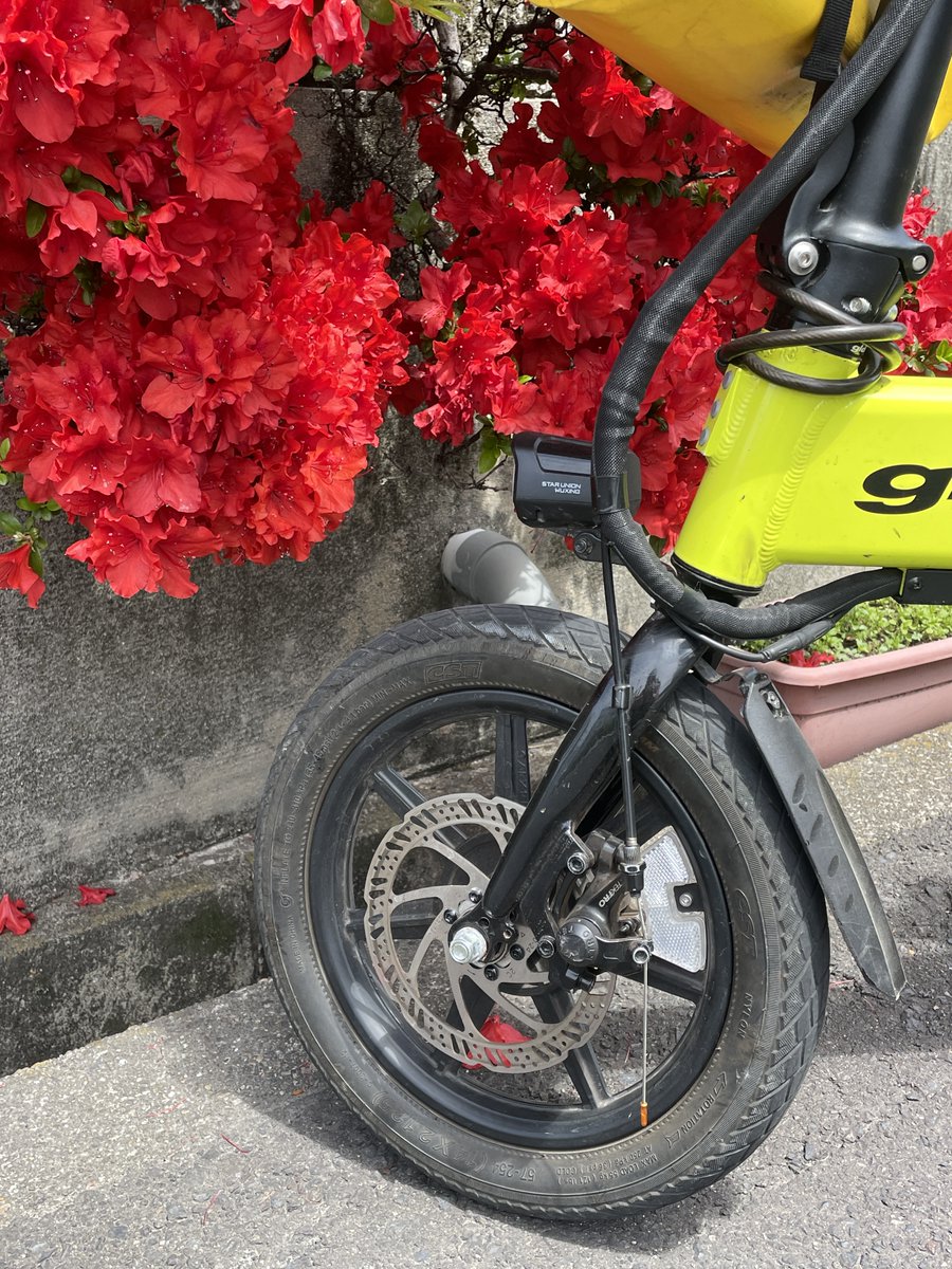 ゆっくり考える tweet media