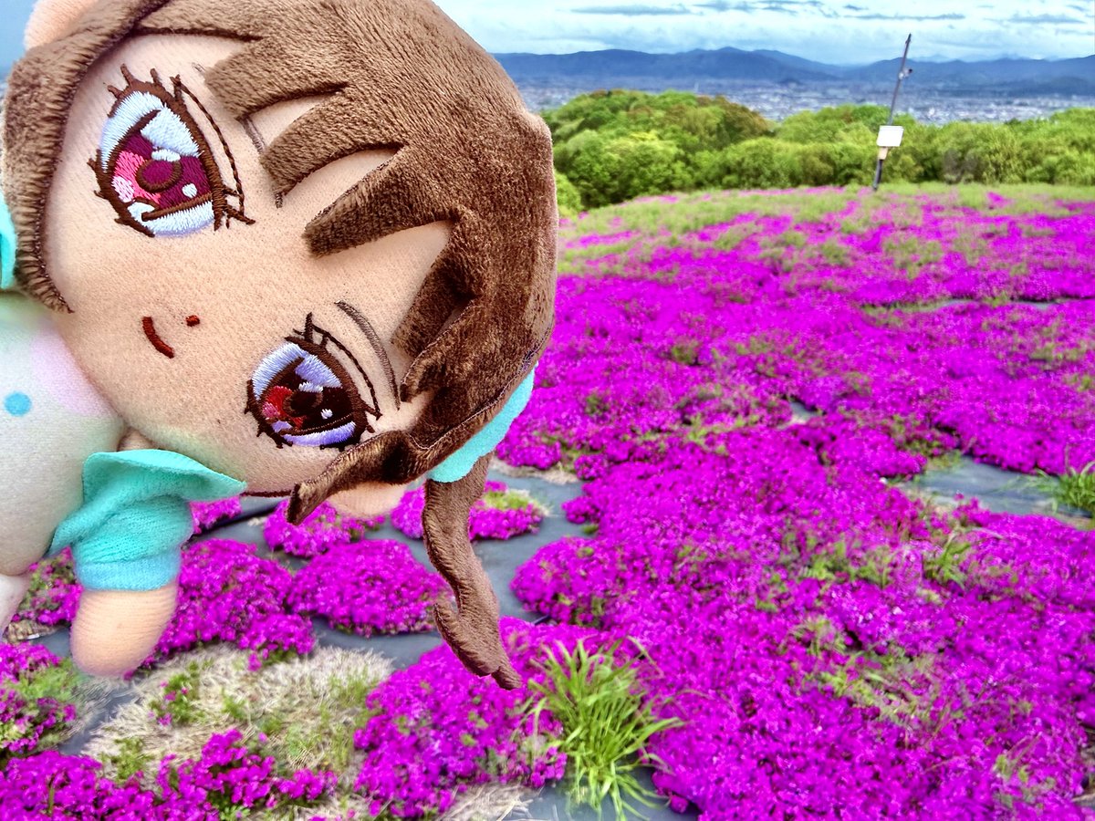 てんじょー tweet media