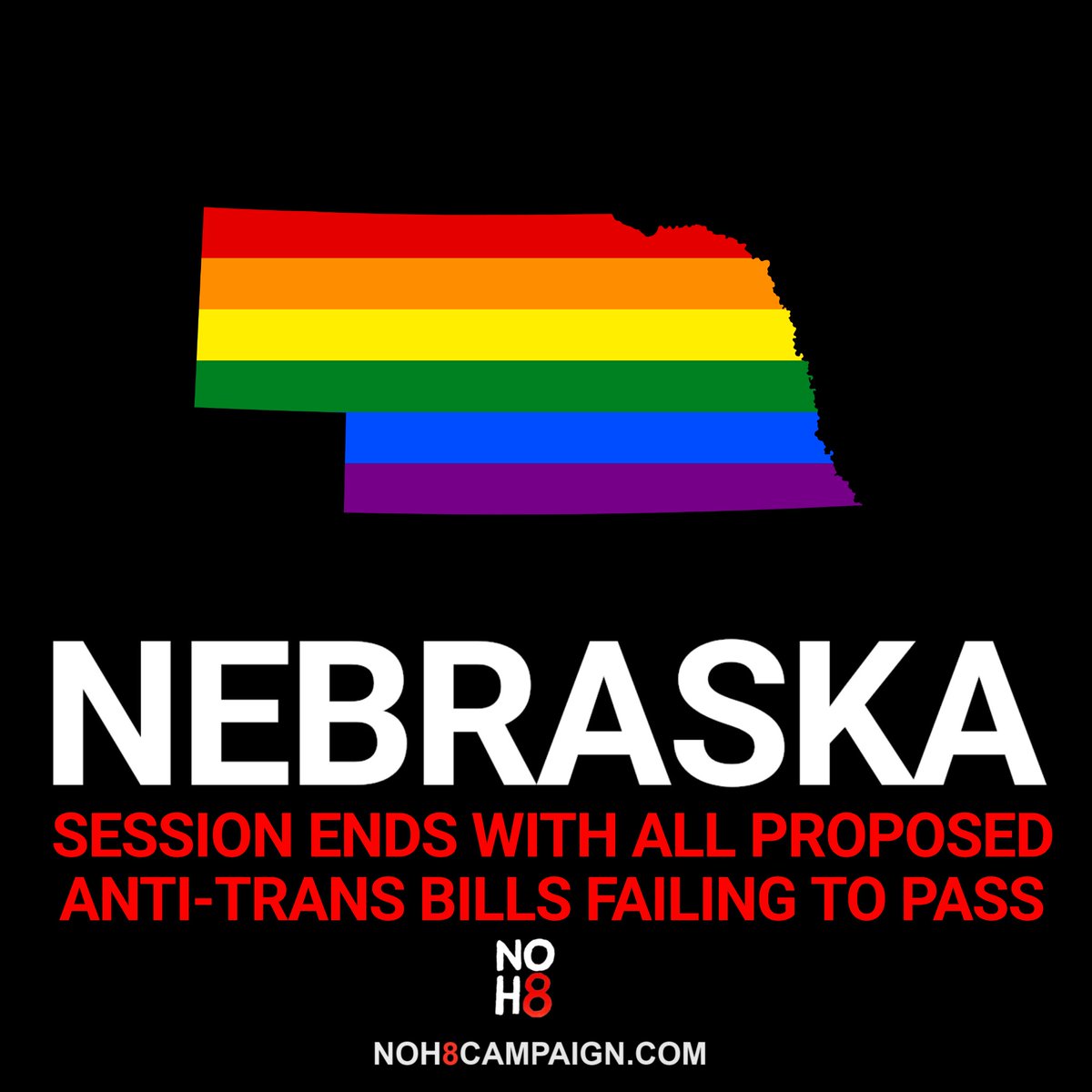 NOH8 Campaign tweet media