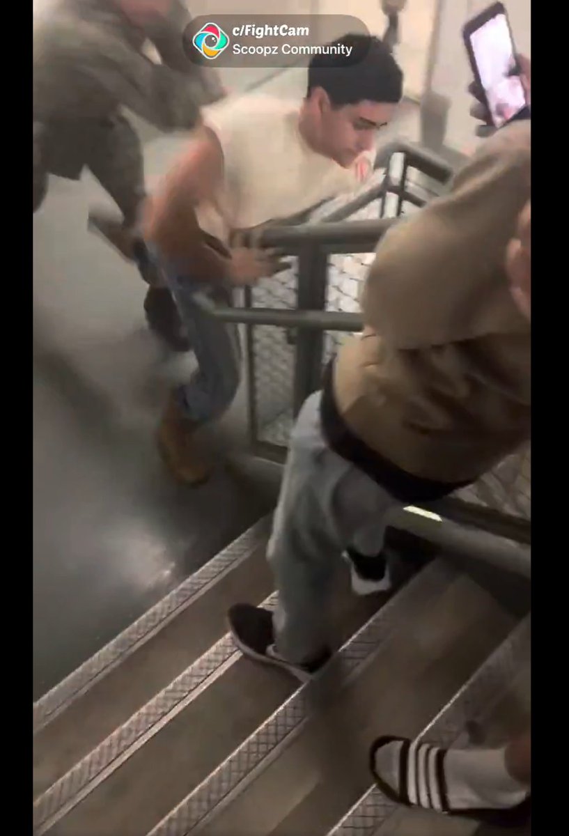 𝔗𝔢𝔫𝔢𝔟𝔯𝔞𝔢 🇺🇸🇯🇵🇰🇷🇹🇼 tweet media