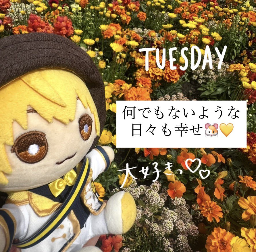 はむのんの🐹💛 tweet media