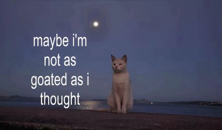 a broken soul tweet media