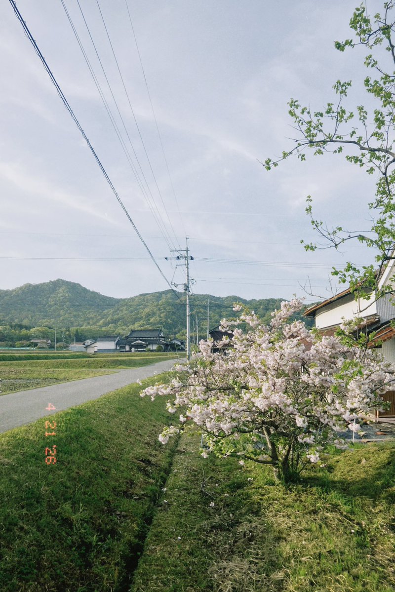 navy0220photo's tweet image. 朝Runの景色
#dazz