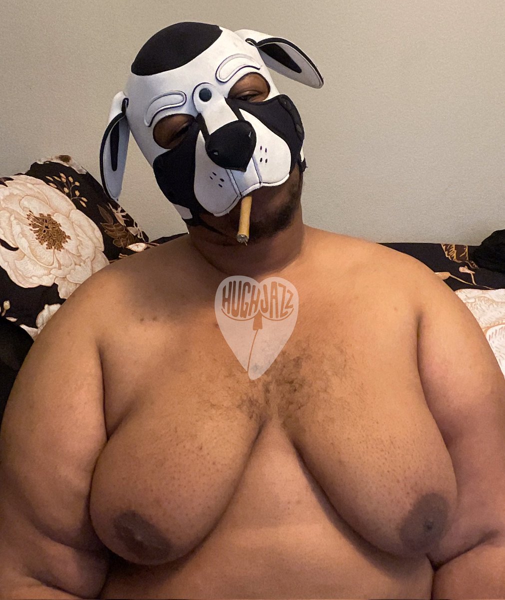 big boy hugh 🏜️🐶 pup jazz tweet media