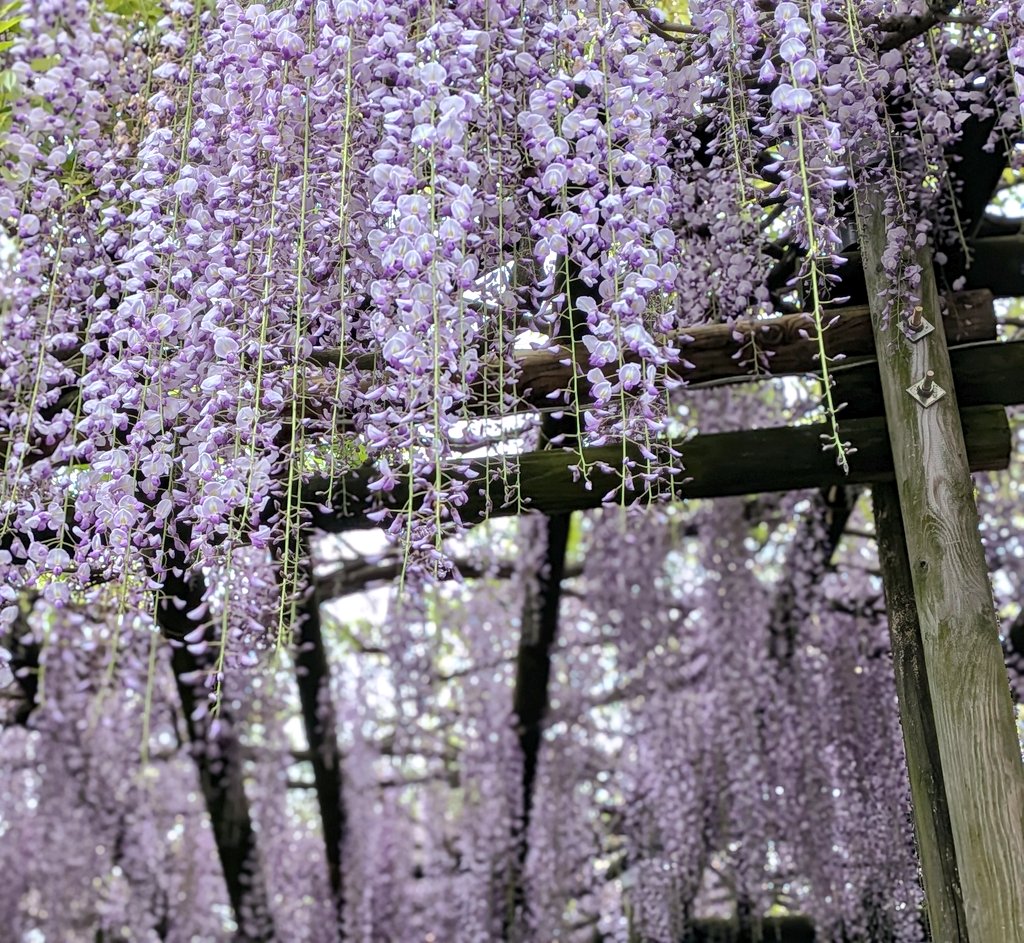 みー@郵送時リトリン必読 tweet media