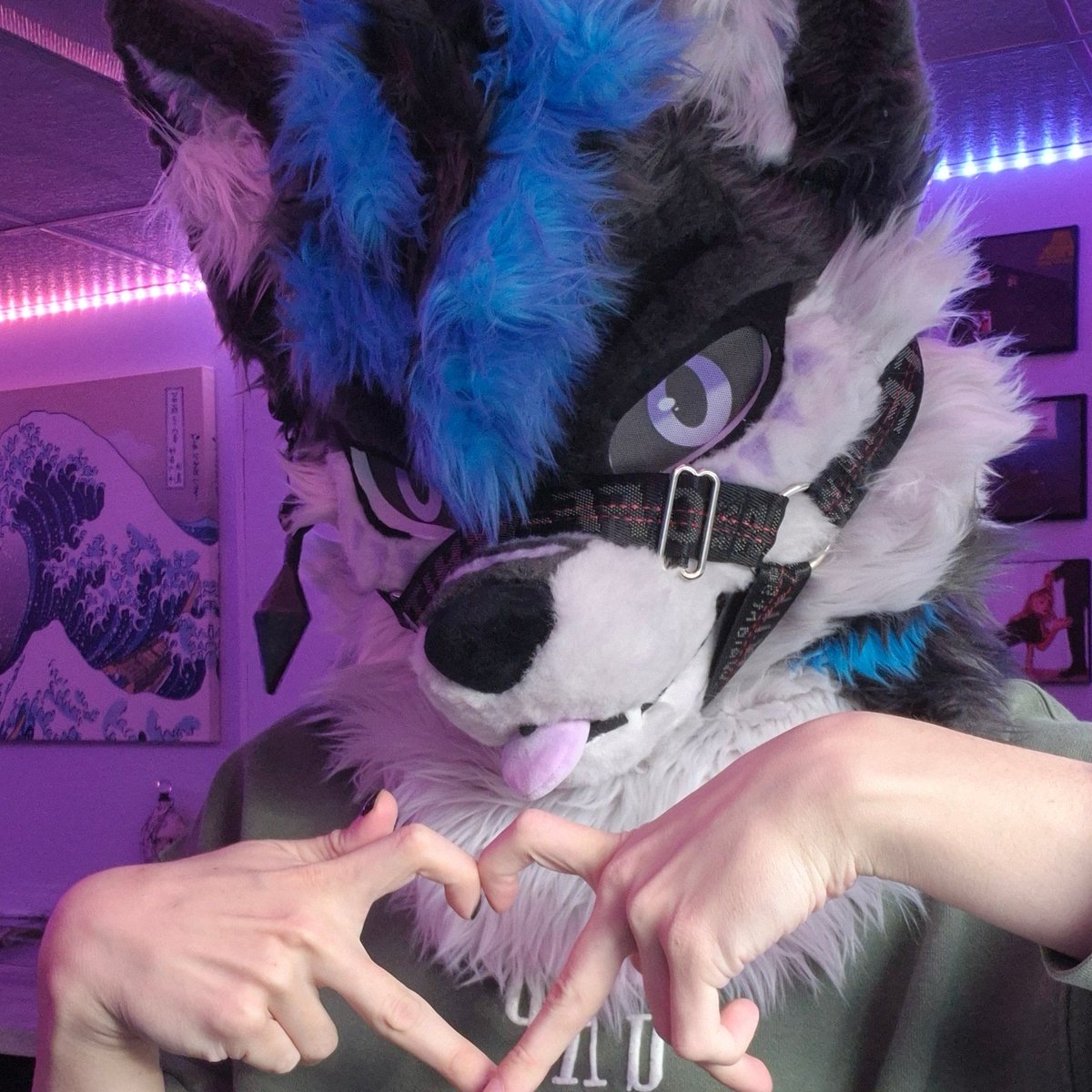 Cinix 💎 🔜 FWA26 tweet media