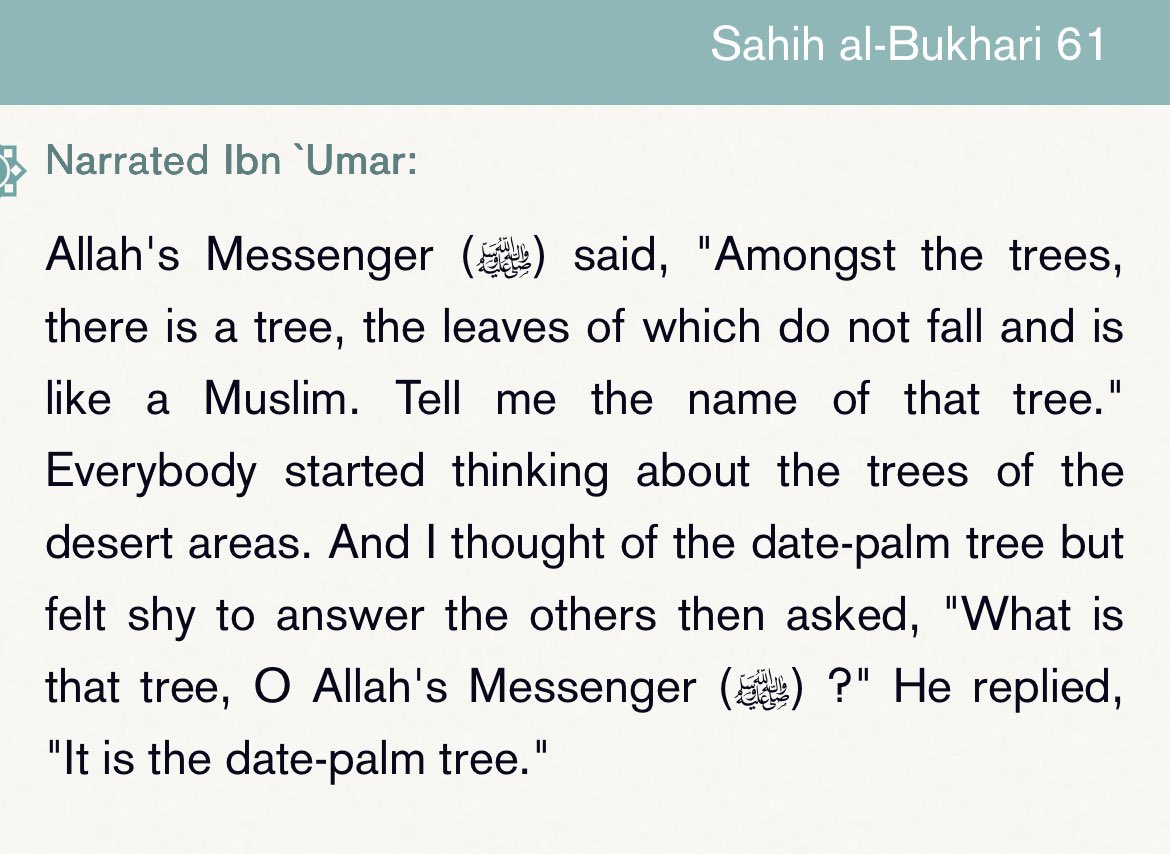 Al_QuranSunnah's tweet image. Sahih al-Bukhari - The book of knowledge Hadith 61 collected from sunnah.com #islam #quran #sunnah #muslimreverts