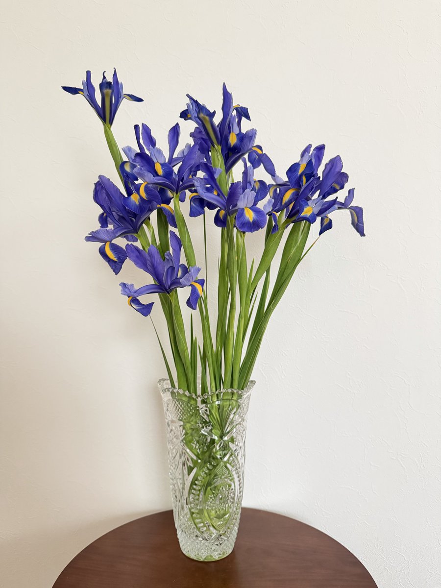 今年もアイりスが咲きました。
🐍🍡…何世でも出会って幸せになって欲しい。