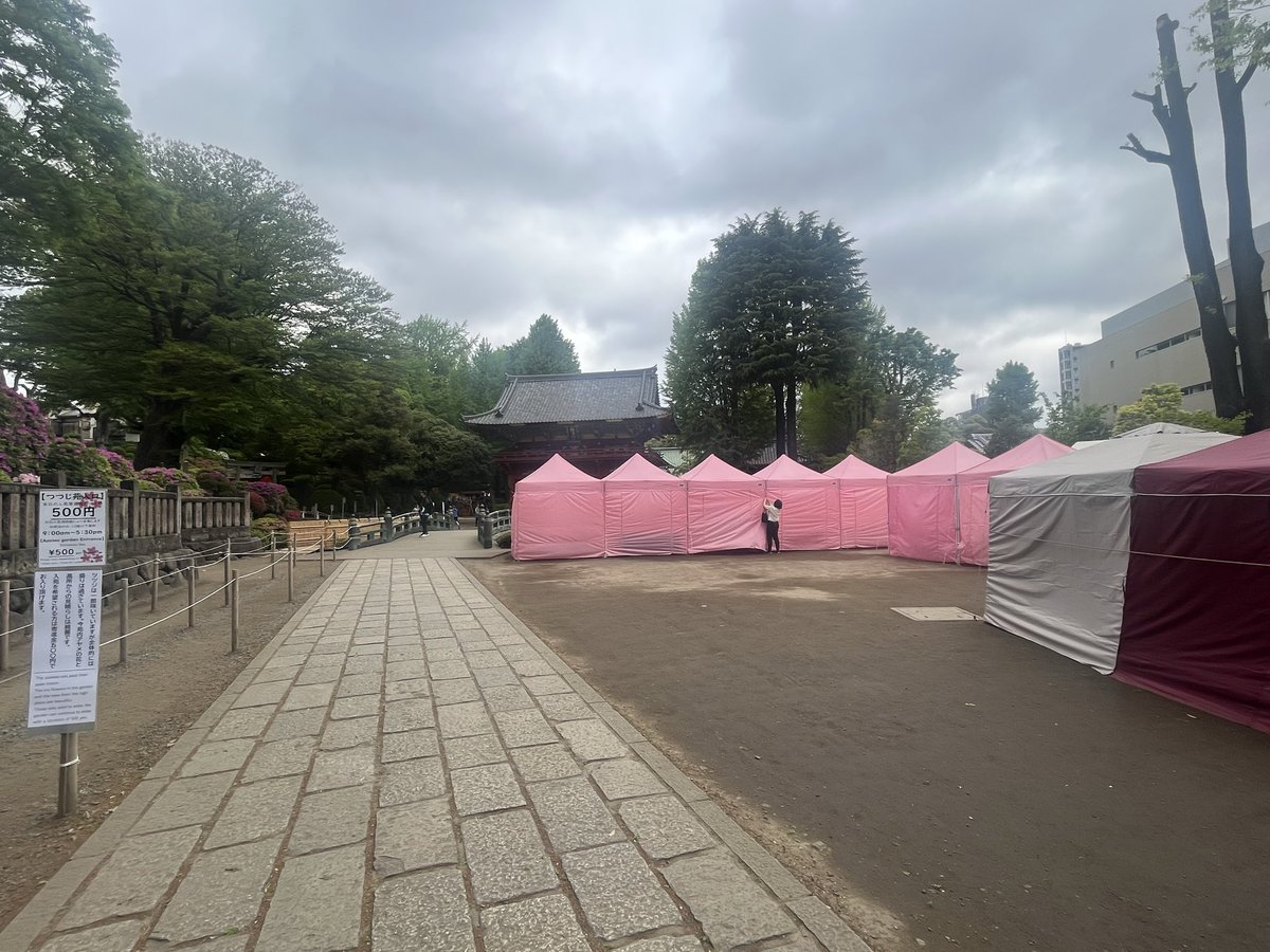 千駄木二丁目西町会(中の人たち) tweet media