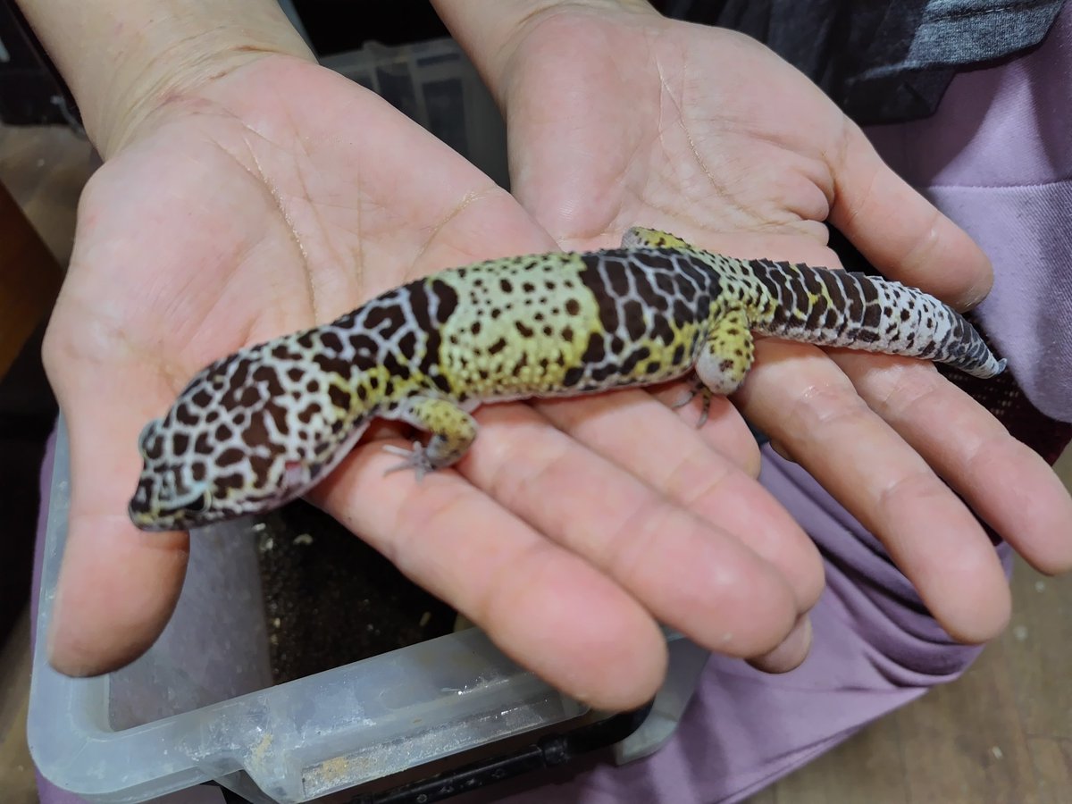 Ｊ・アシスト tweet media