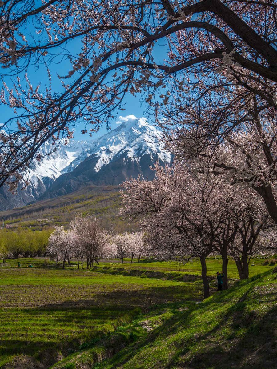 David Huang tweet media