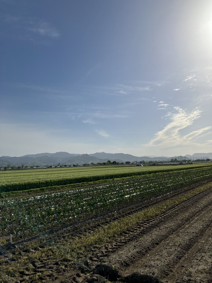 明明中国語 tweet media