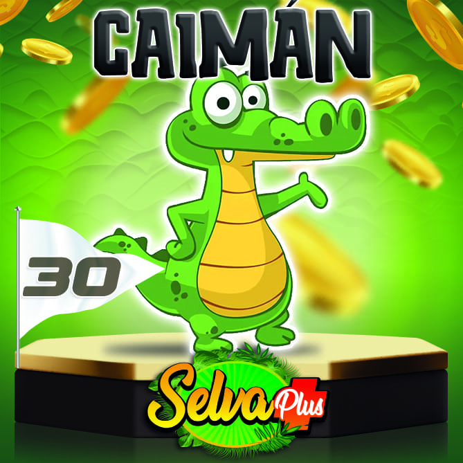 ***SELVA PLUS*** tweet media