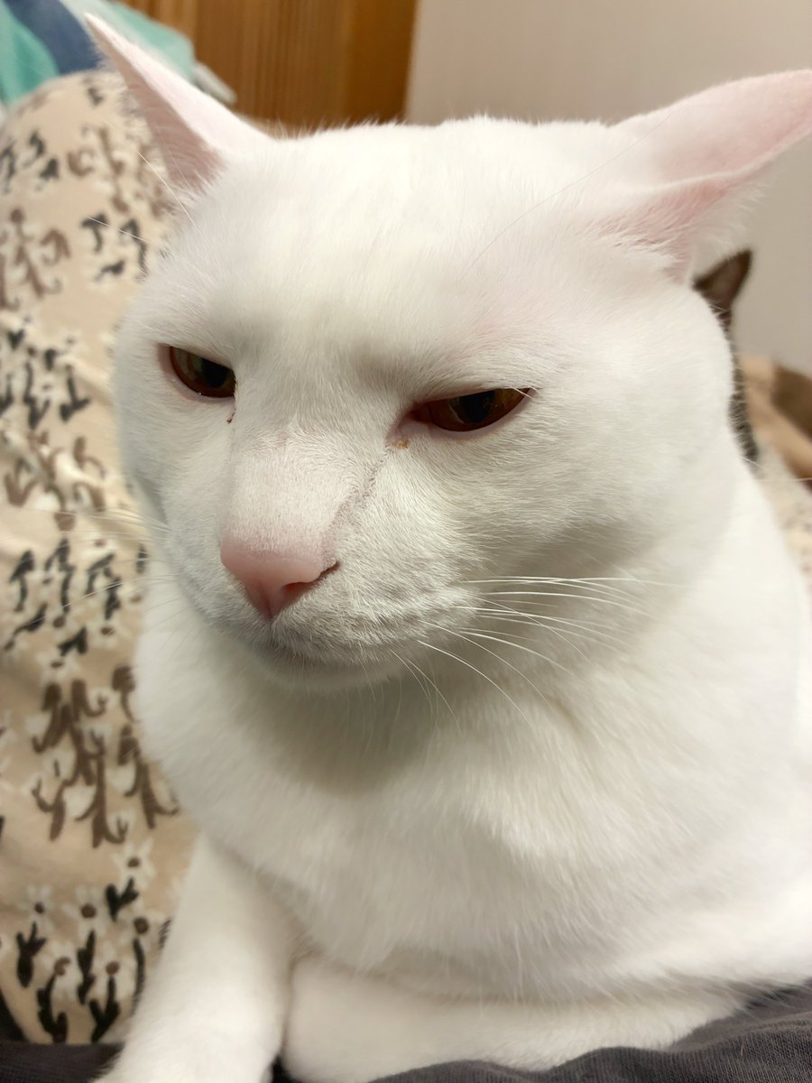 ナオはる tweet media