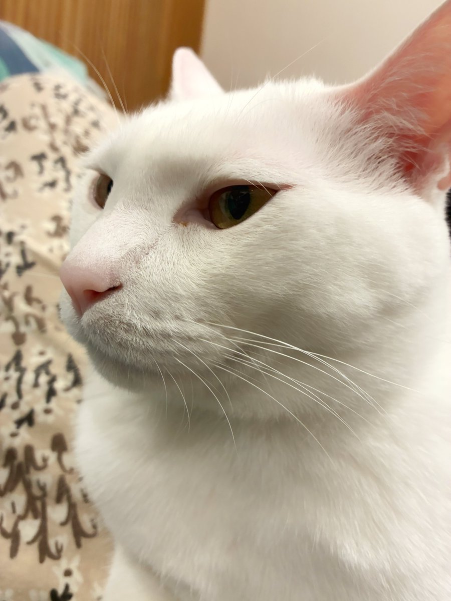 ナオはる tweet media